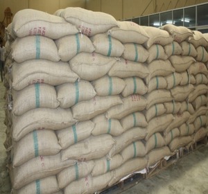 FBR launches crackdown on sugar industry tax evasion