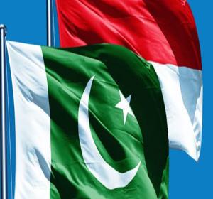 Pakistan-Indonesia health partnership gains momentum  Mettis Global